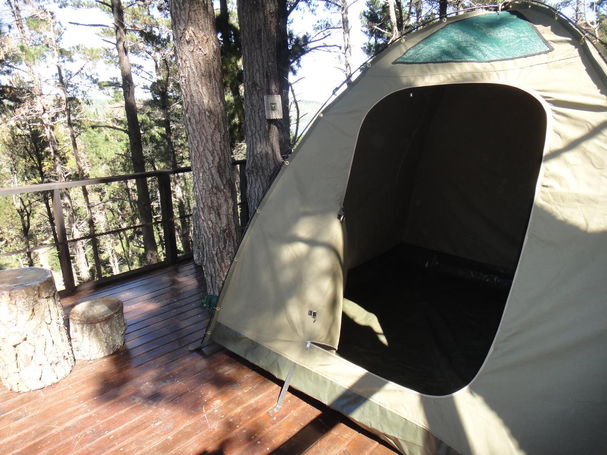 Eagles' Call Cottages And Tent Wilderness Exterior photo