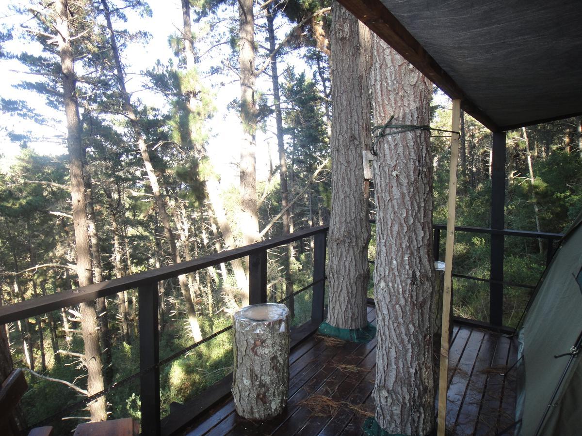 Eagles' Call Cottages And Tent Wilderness Exterior photo